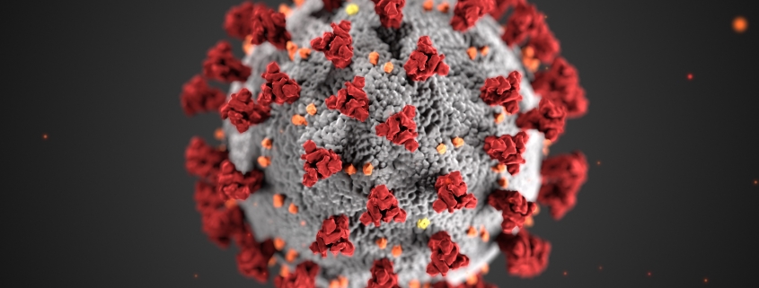 a rendering of the coronavirus